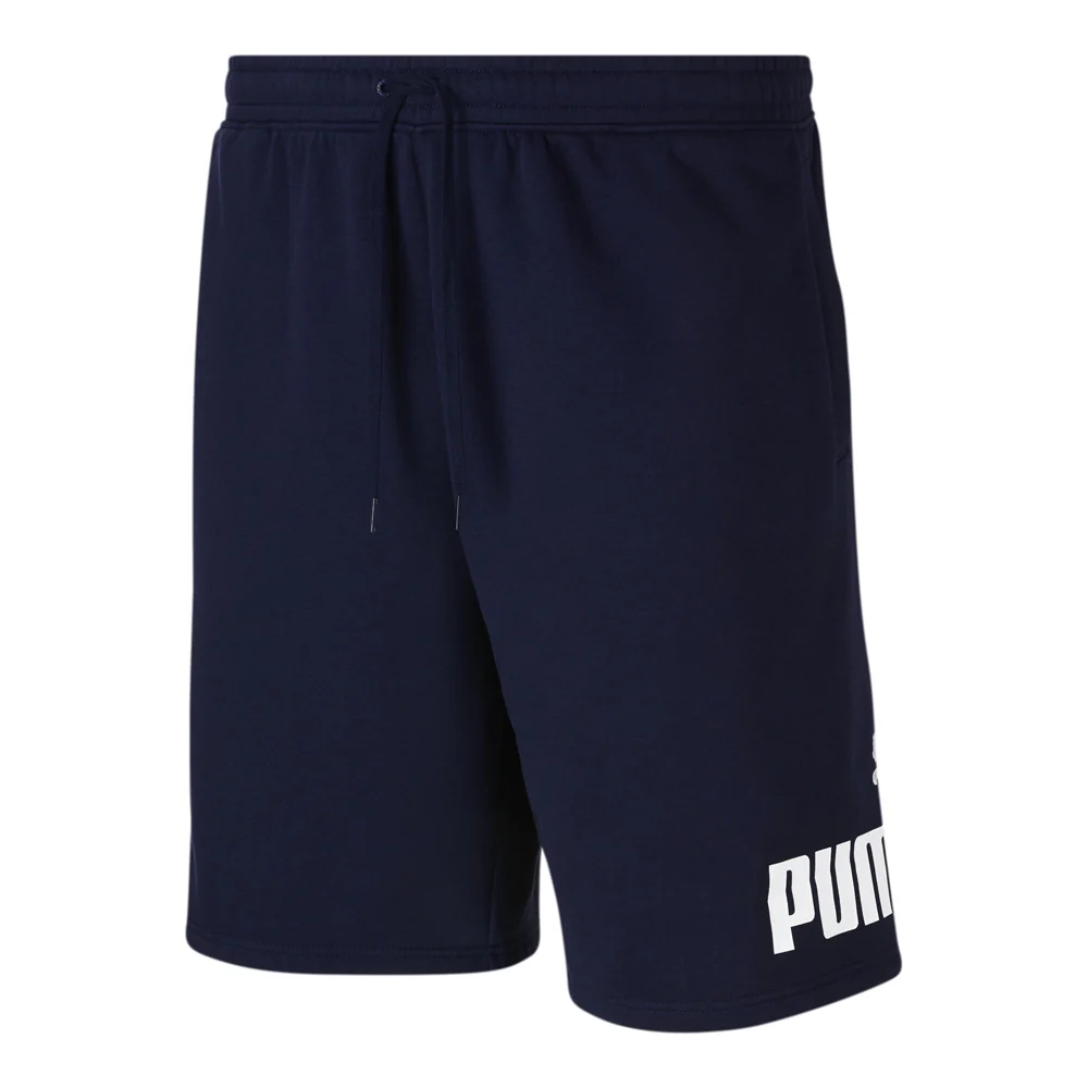 Big Fleece Logo 10 Inch Shorts
