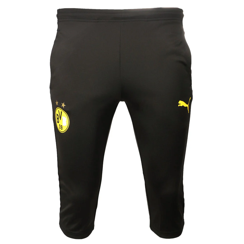 BVB Training Athletic Shorts