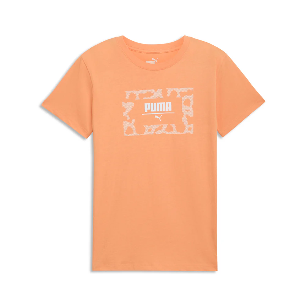 Cheetah Box Crew Neck Short Sleeve T-Shirt