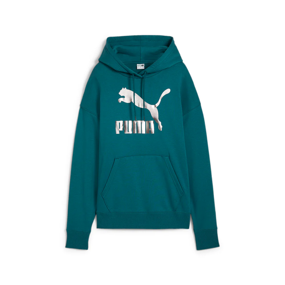 Classics Shiny Logo Pullover Hoodie