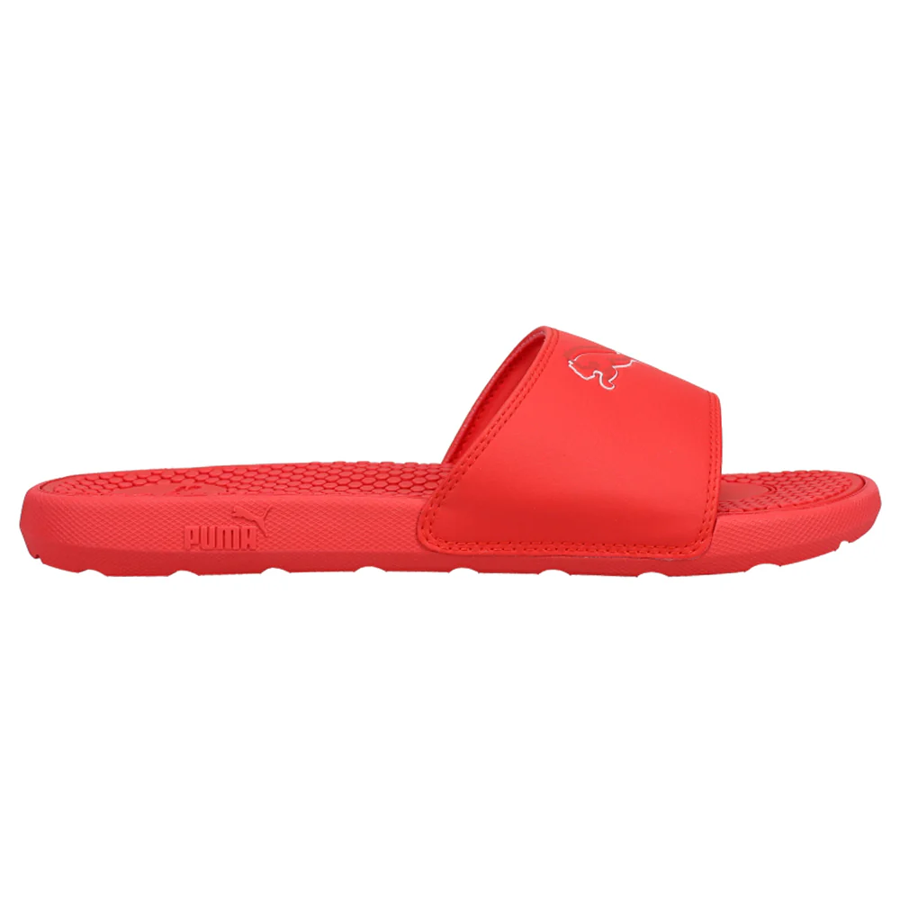 Cool Cat Shadow Slide Sandals