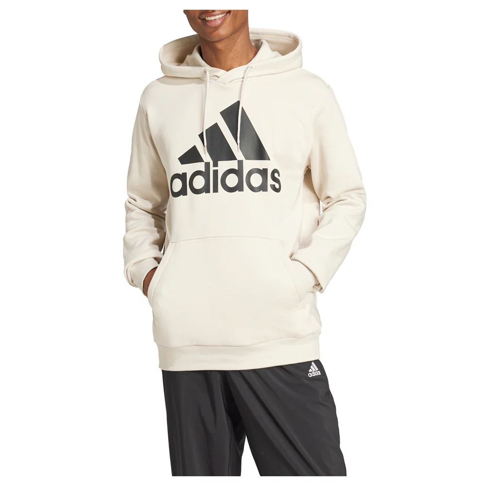 Essentials Fleece Big Logo Pullover Hoodie