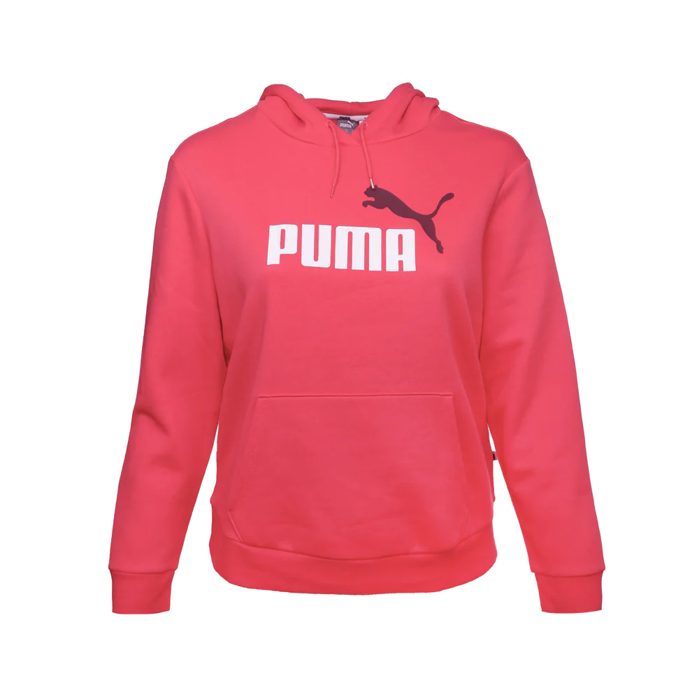 Essentials Logo Pullover Hoodie