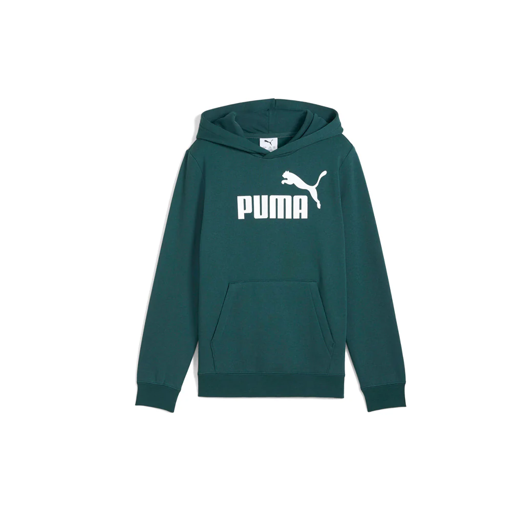 Essentials Logo Pullover Hoodie (Youth)