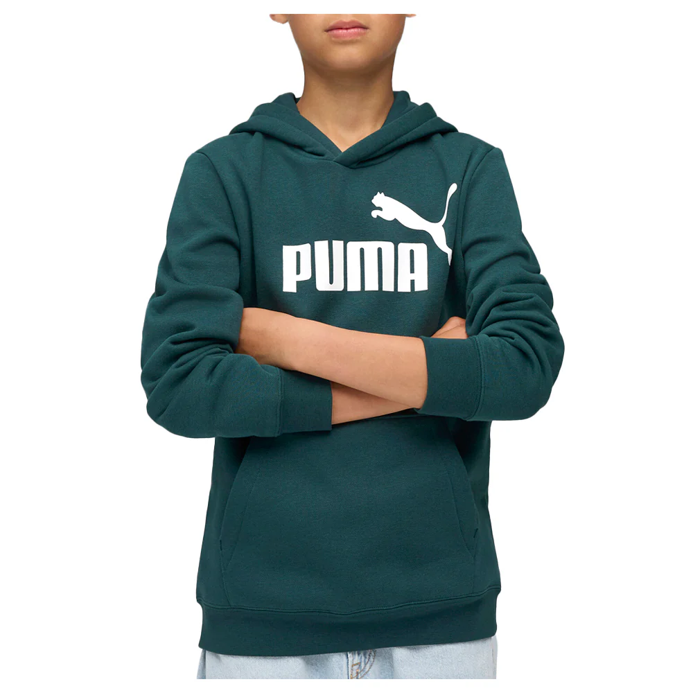 Essentials Logo Pullover Hoodie (Youth) - Image 3