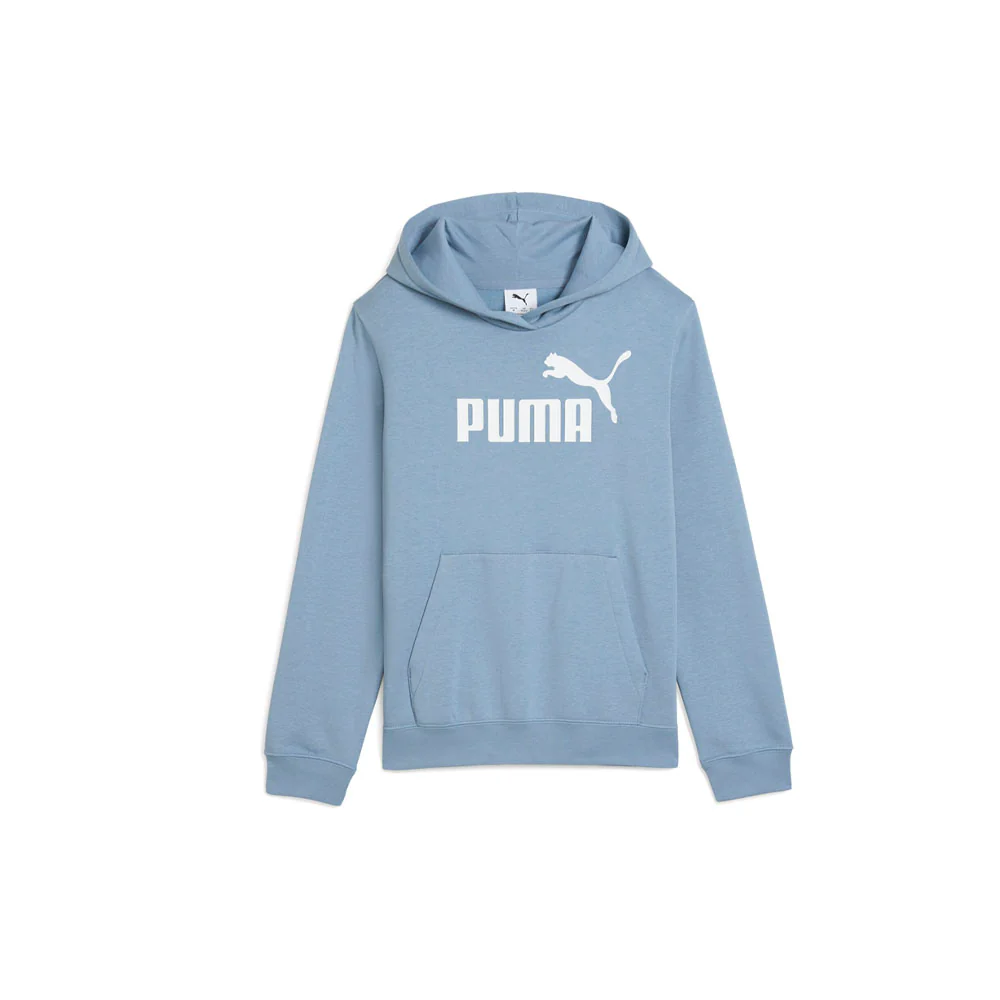 Essentials No. 1 Graphic Pullover Hoodie (Youth)