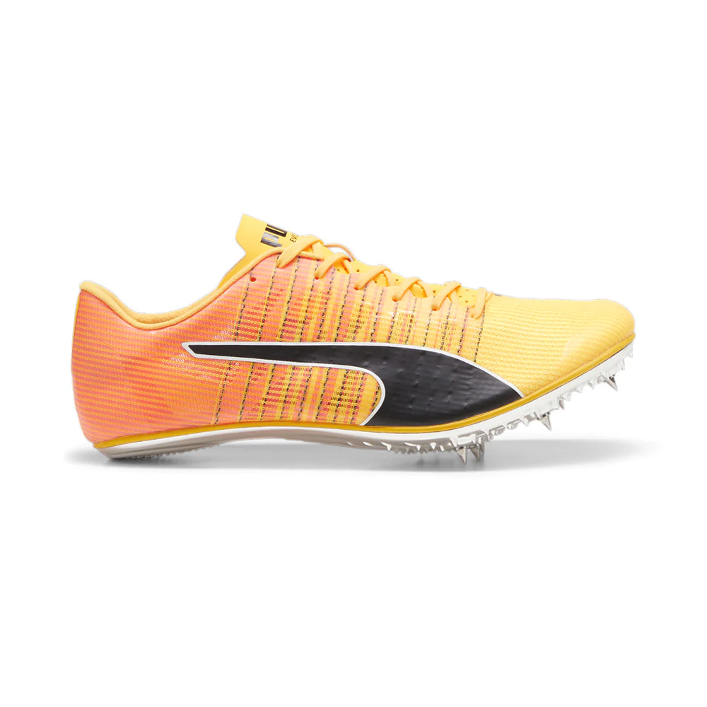 Evospeed Brush 6 Track & Field Shoes