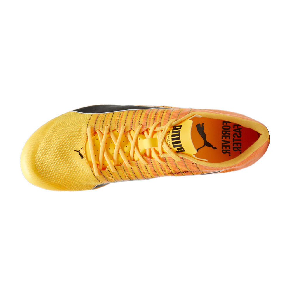 Evospeed Brush 6 Track & Field Shoes - Image 4