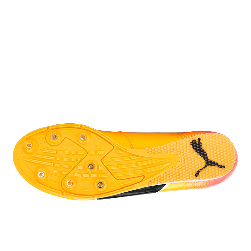 evoSPEED Long Jump 10 Track and Field Shoes - Image 5