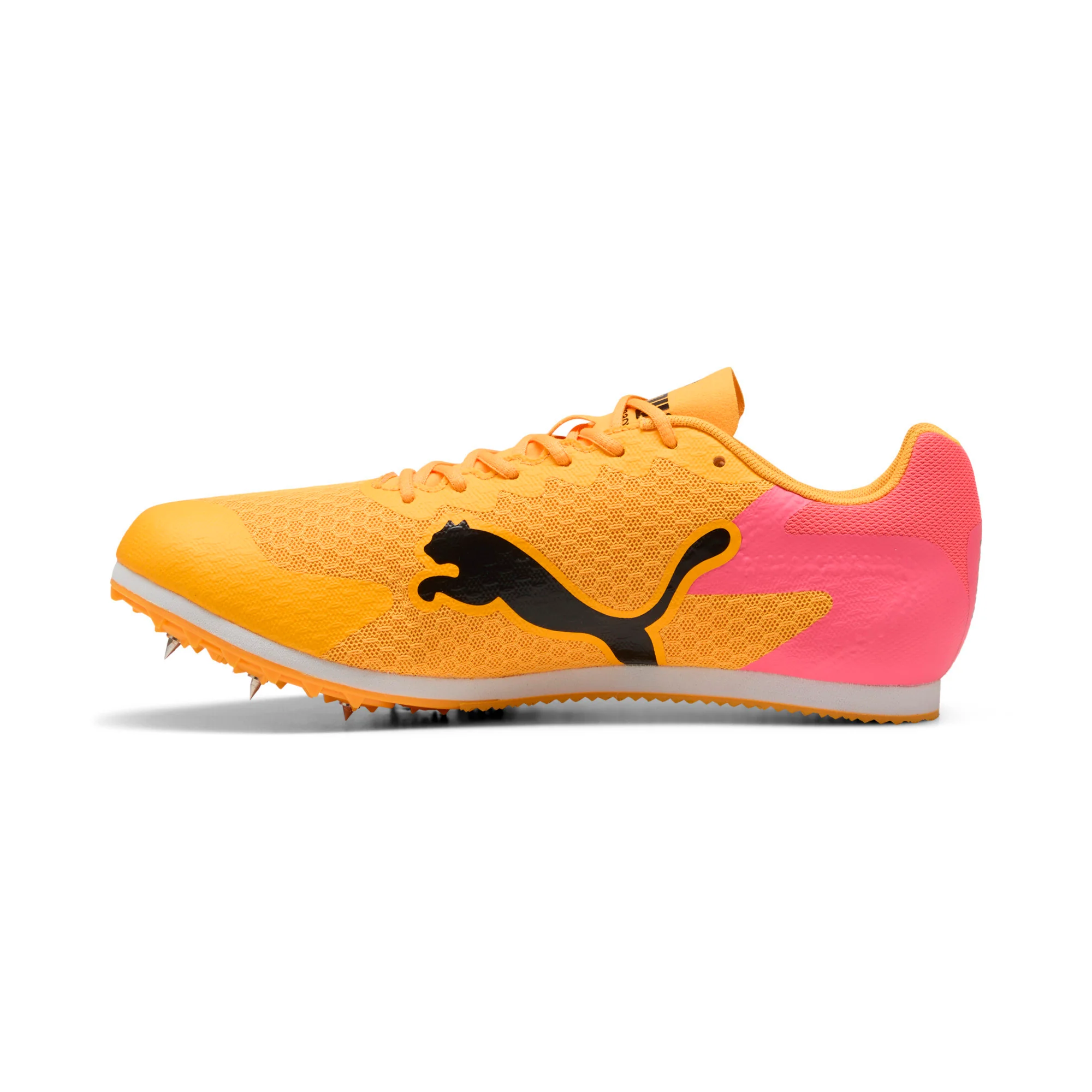 Evospeed Star 9 Track & Field Sprinting Spikes - Image 3