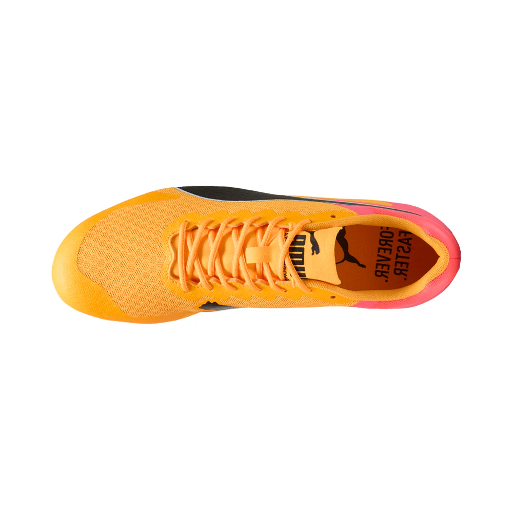 Evospeed Star 9 Track & Field Sprinting Spikes - Image 4