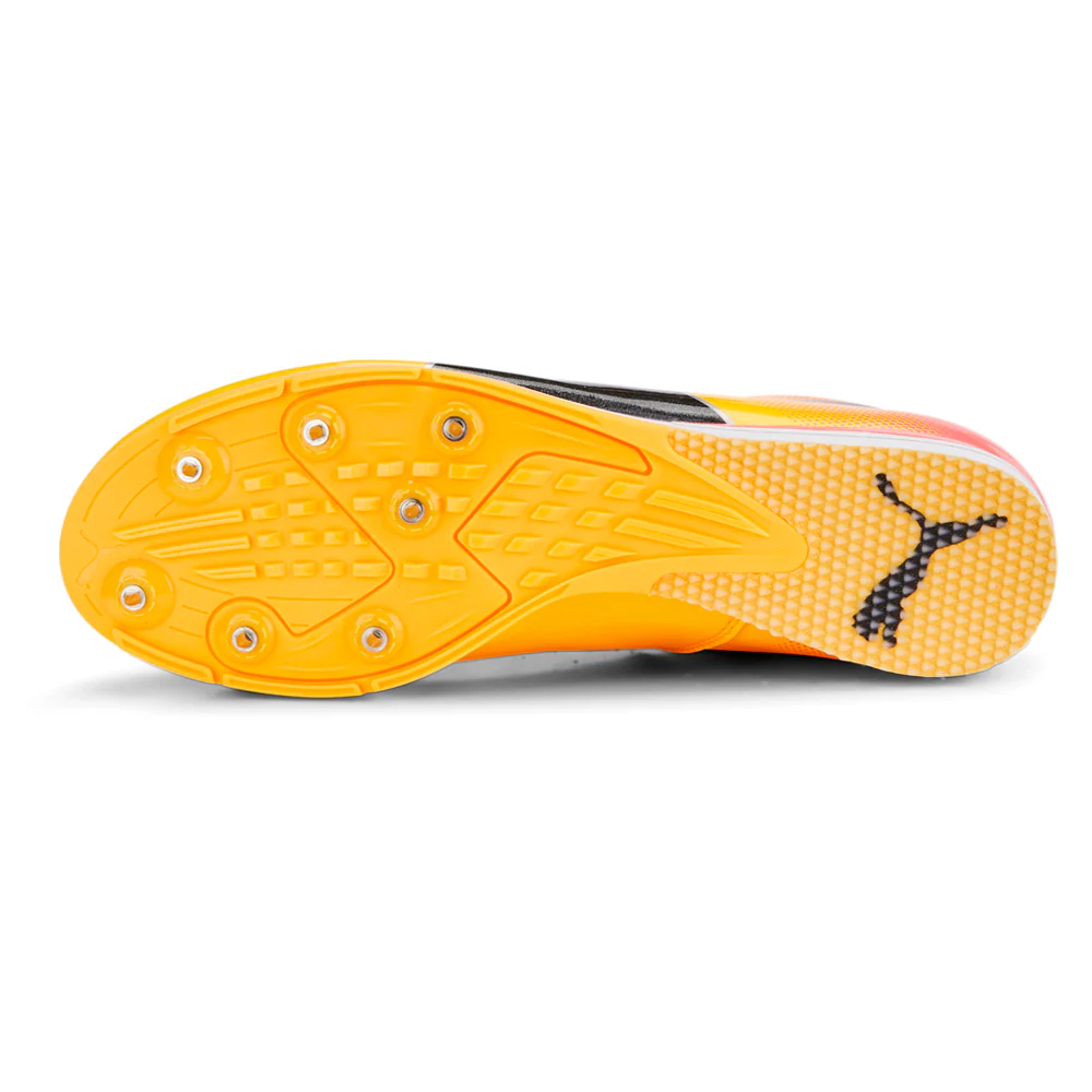 Evospeed Triple Jump 10 Track & Field Shoes - Image 5