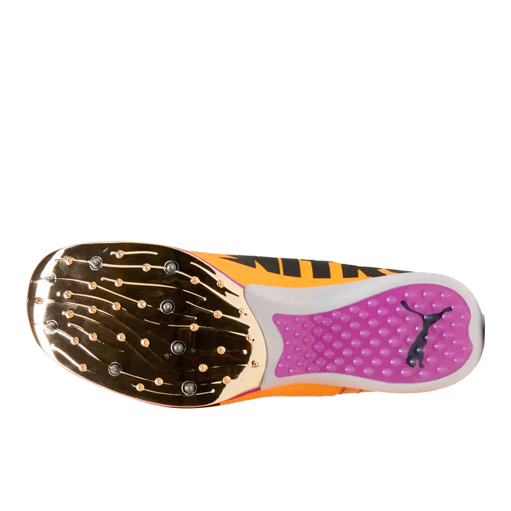Evospeed Triple Jump NITRO Elite Running Shoes - Image 5