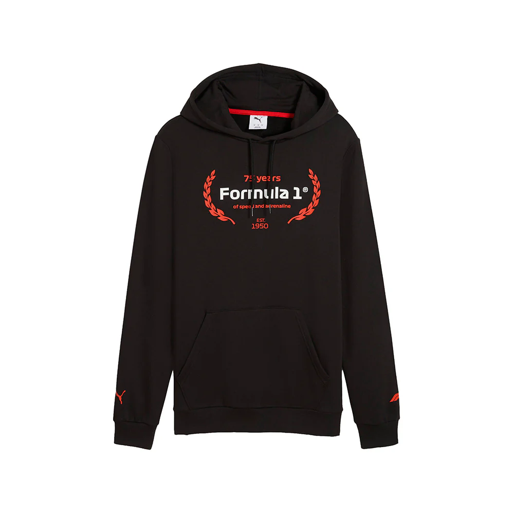F1 Essentials Logo Graphic Pullover Hoodie