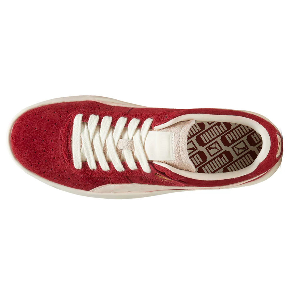 GV Special Suede Lace Up Sneakers - Image 4