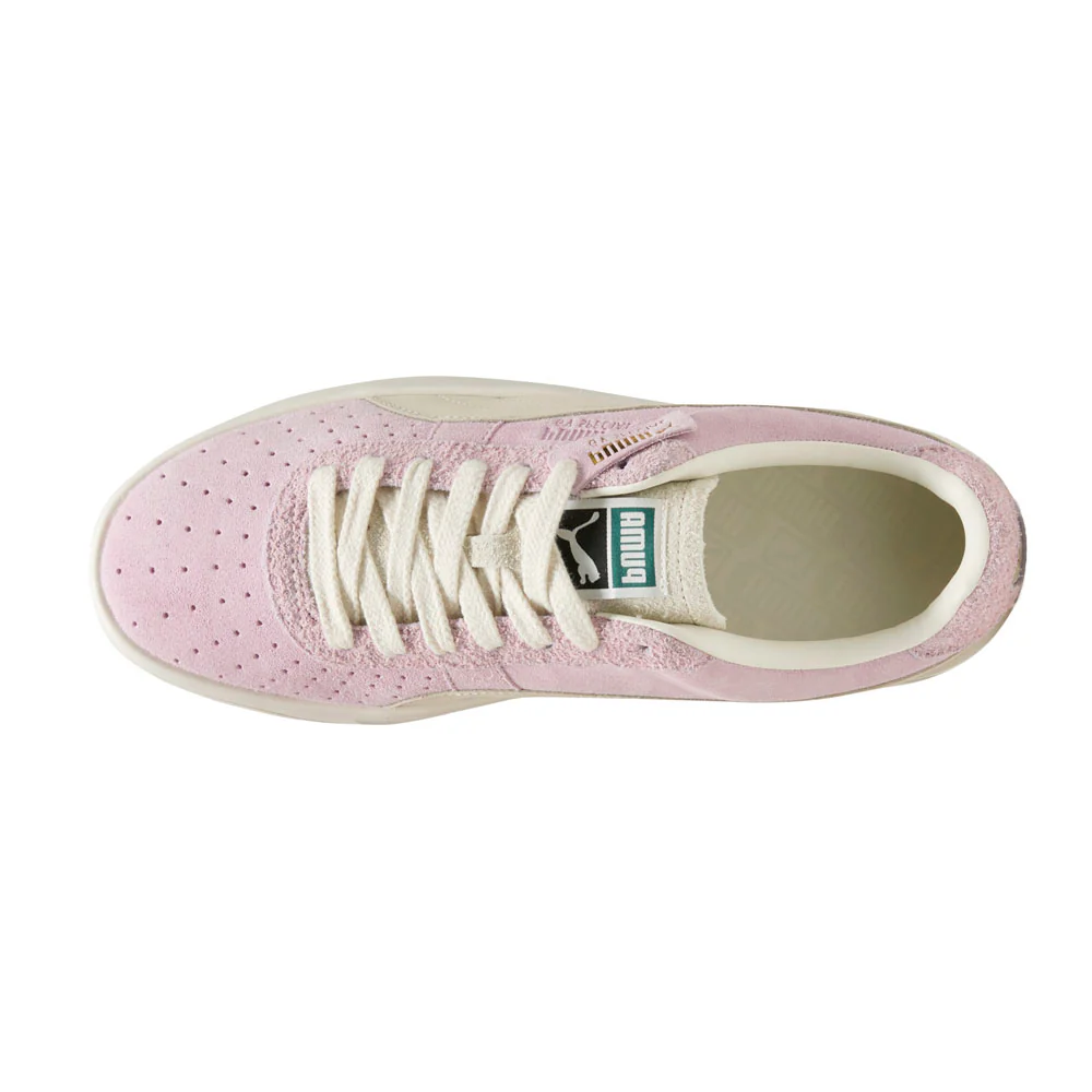 GV Special Suede Lace Up Sneakers - Image 4