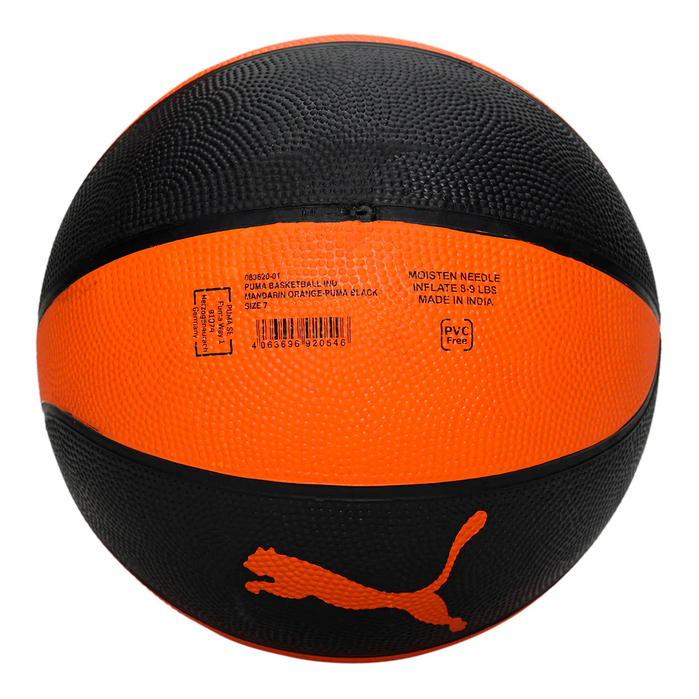 Indoor Basketball - Image 2