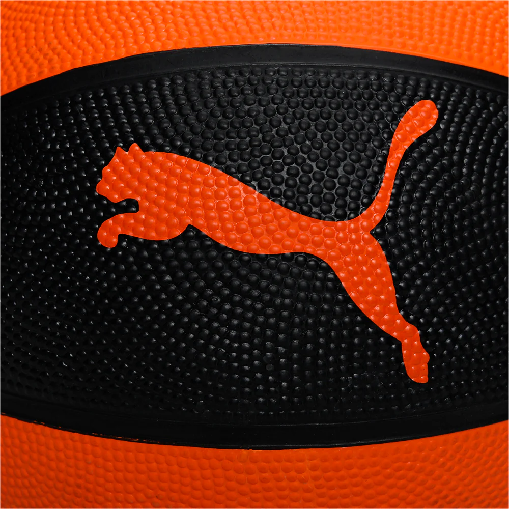 Indoor Basketball - Image 3