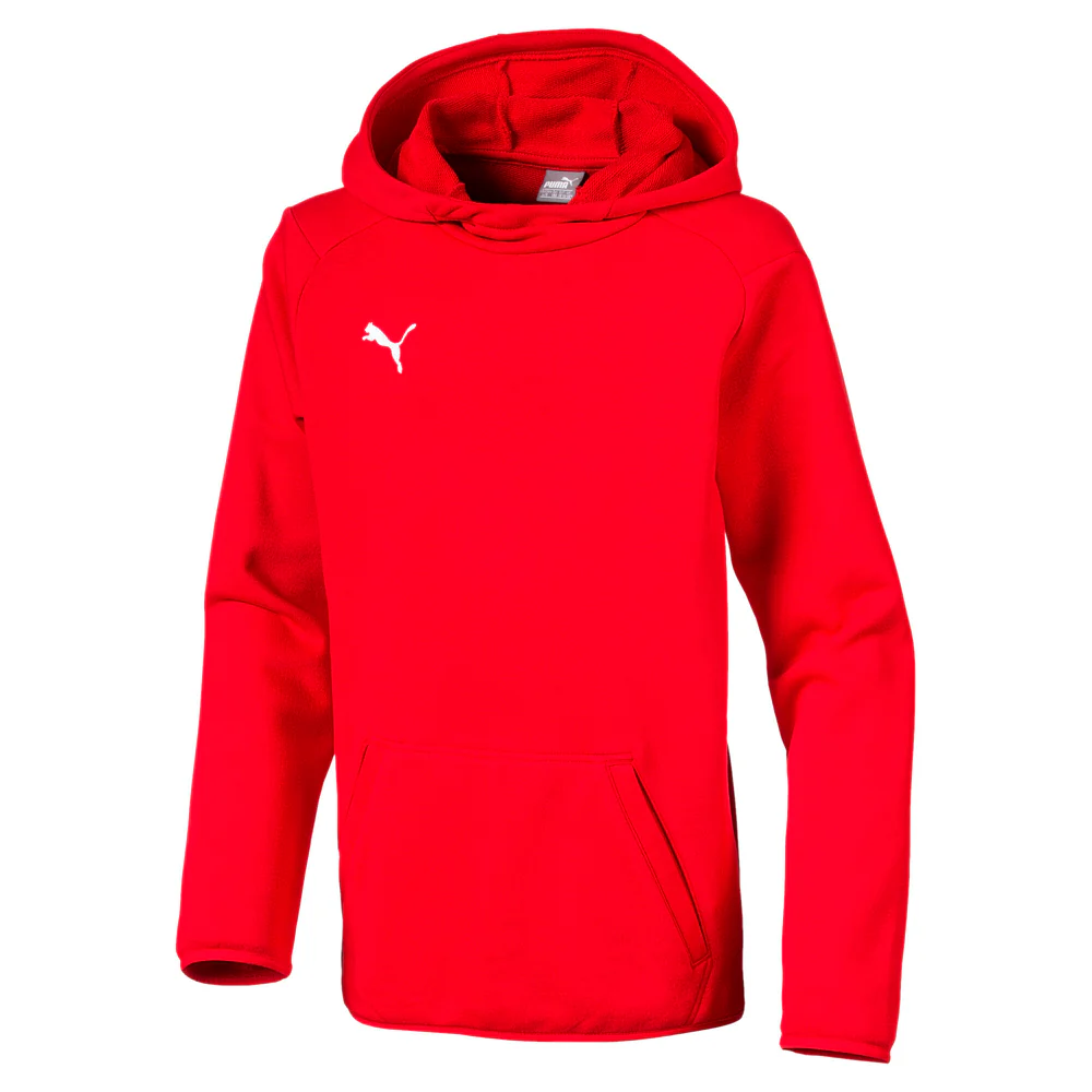 Liga Casuals Pullover Hoodie (Youth)