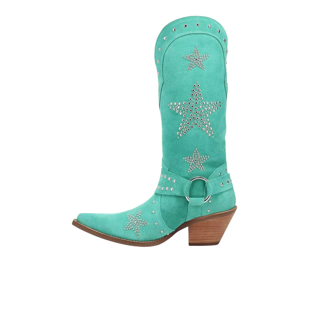 Lucky Stars Suede Leather Snip Toe Cowboy Boots - Image 3