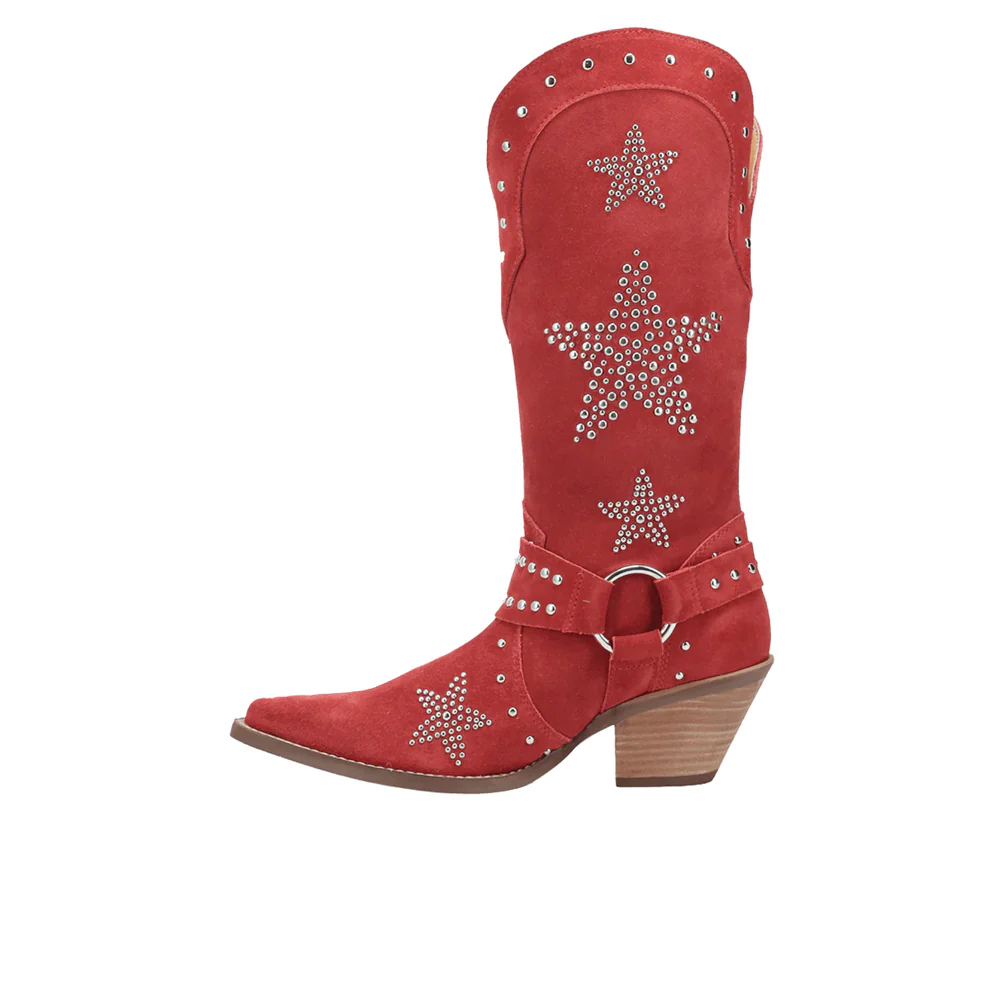 Lucky Stars Suede Leather Snip Toe Cowboy Boots - Image 3