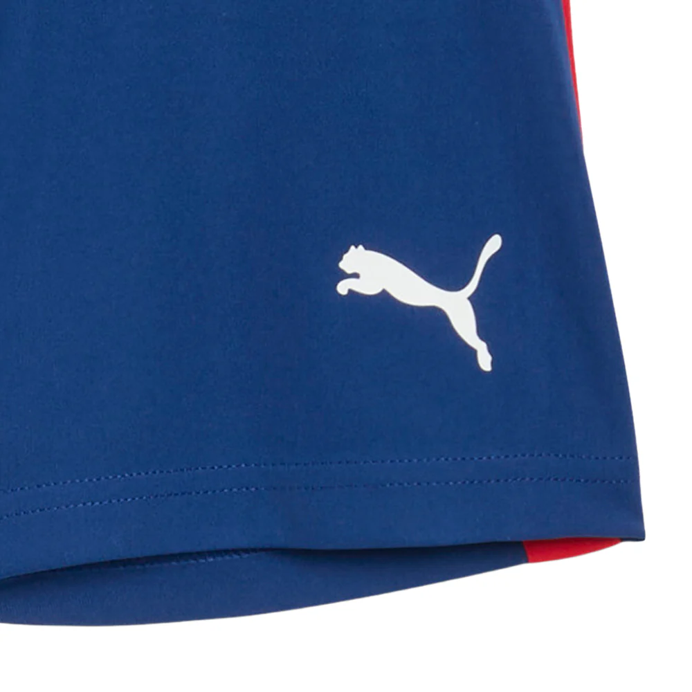 PUMA X NEYMAR Junior Playmaker Training Shorts (Youth) - Image 5