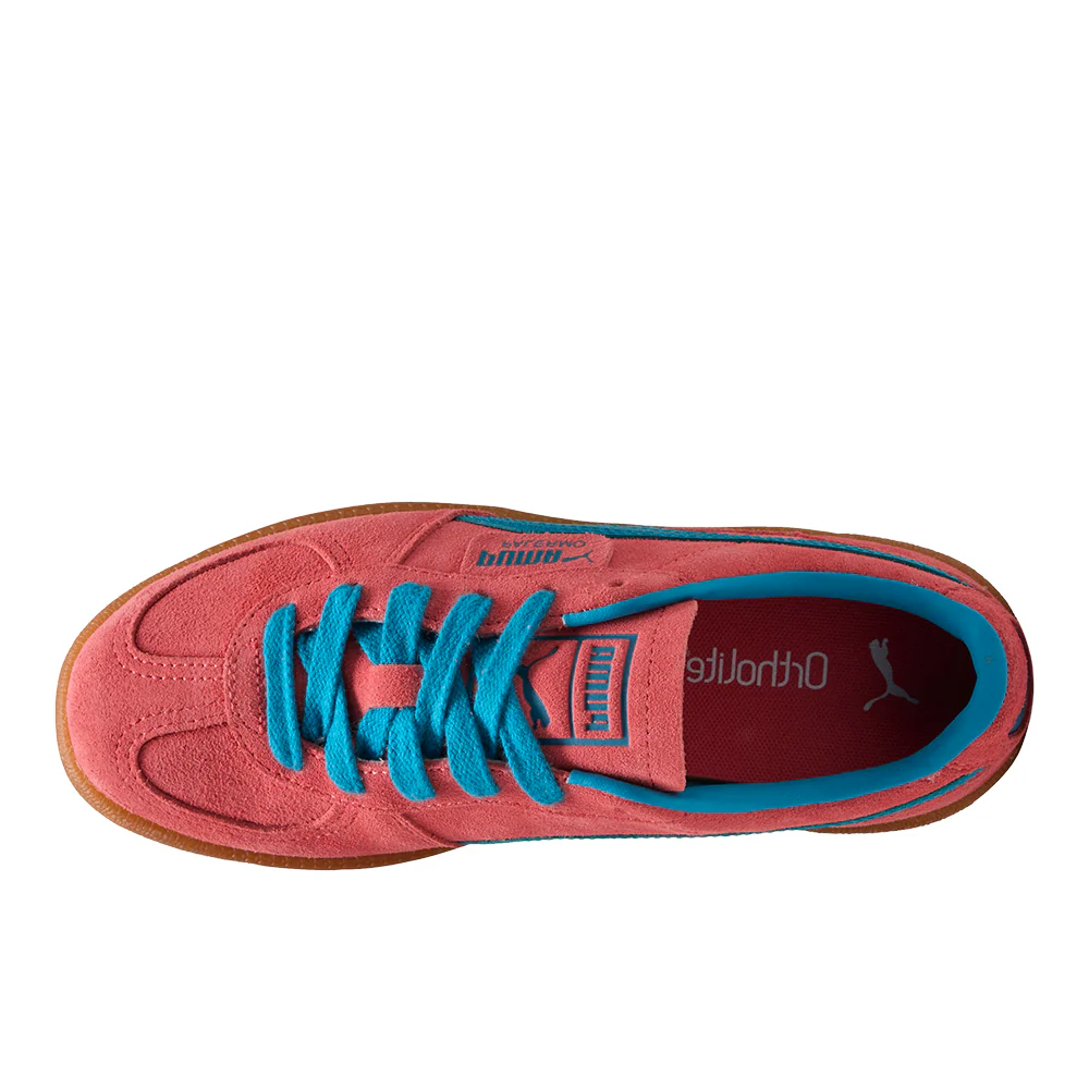 Palermo Lace Up Sneakers - Image 4