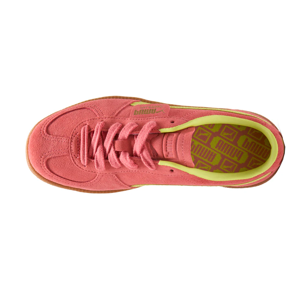 Palermo Lace Up Sneakers - Image 4