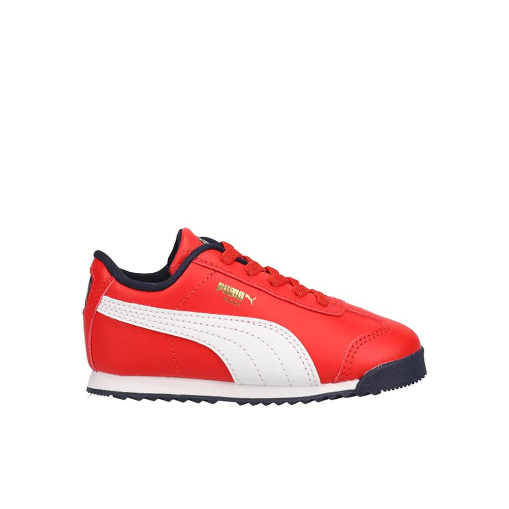 Roma Country Pack AC Slip On Sneakers (Toddler)