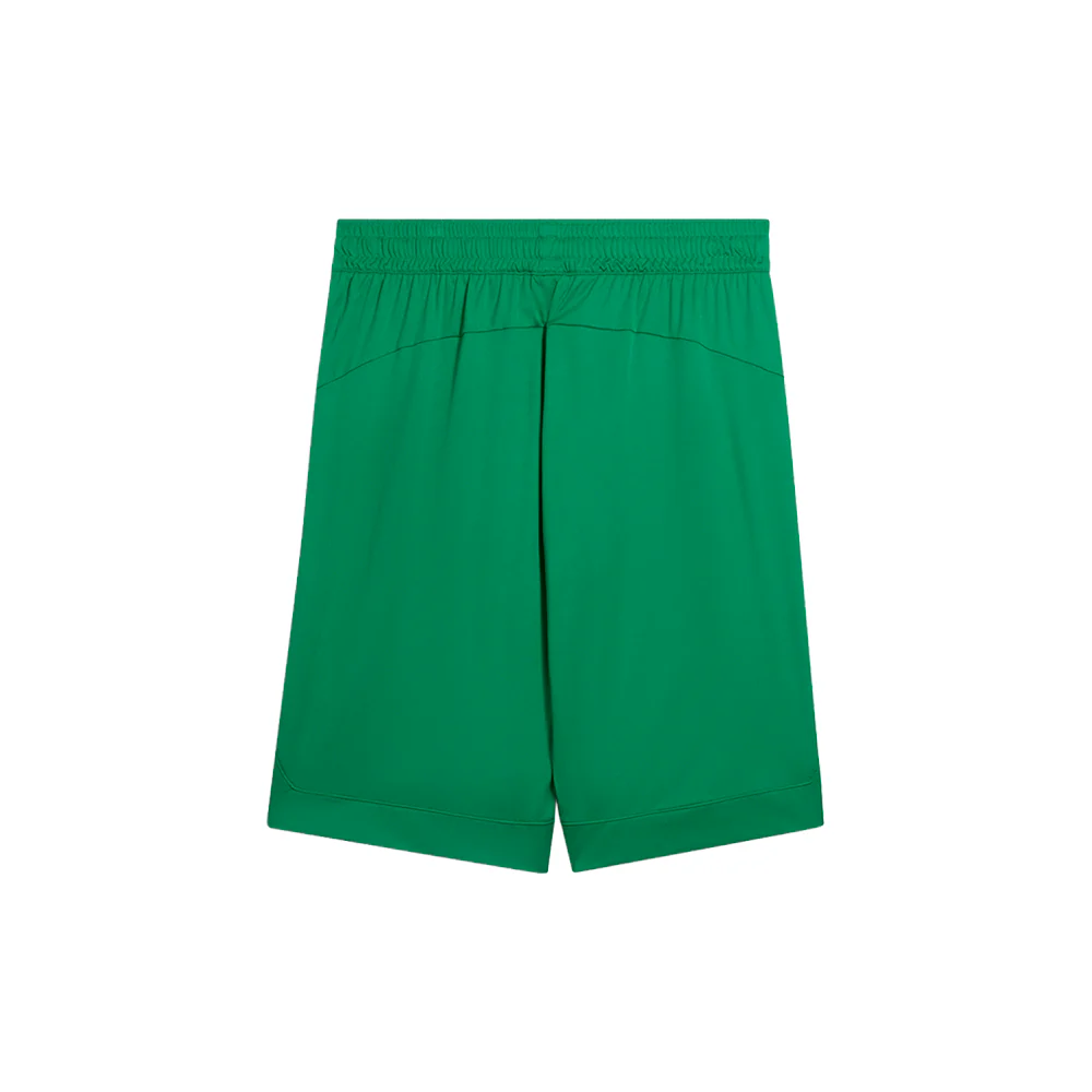 Rtg Shiny 10 Inch Shorts - Image 2
