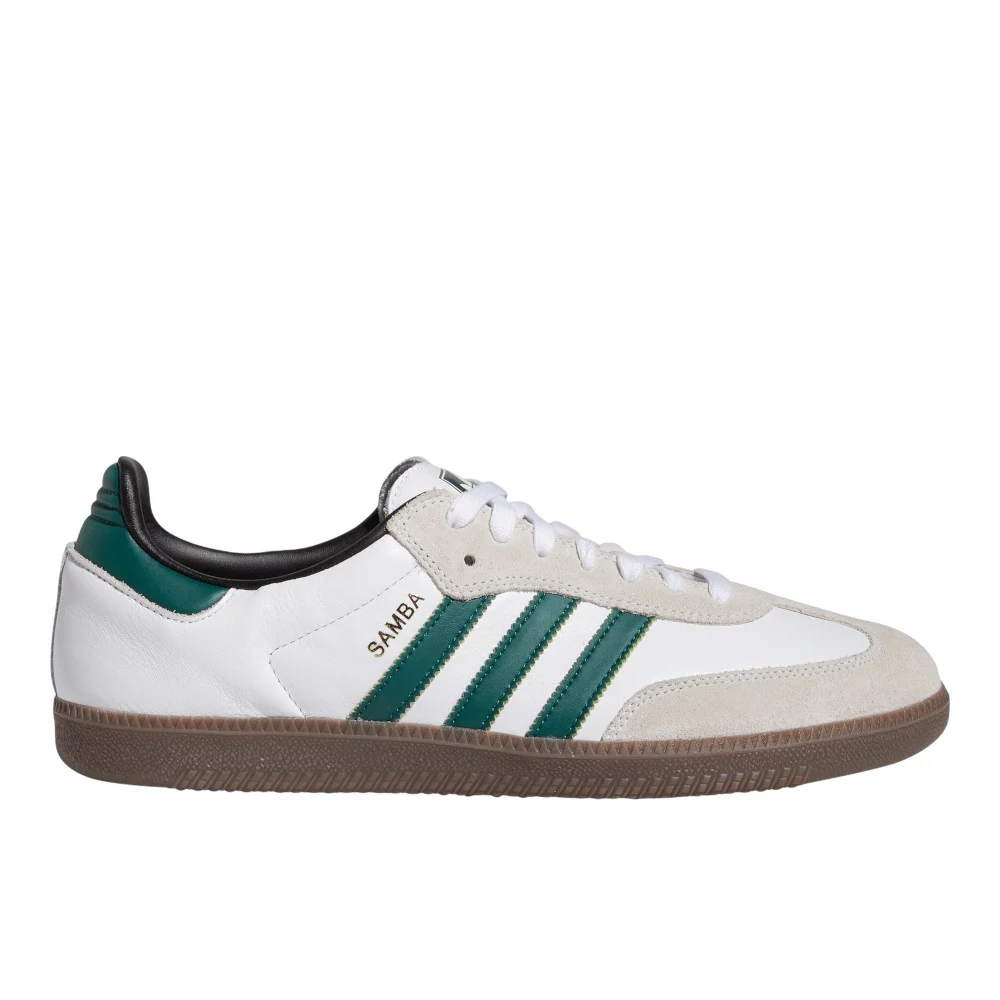 Samba ADV Skate Shoes