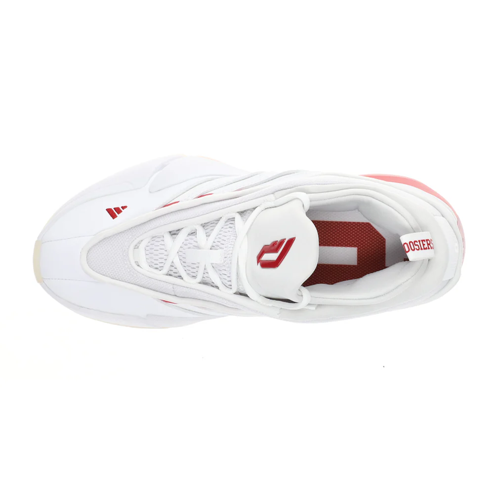 Dame 9 Indiana Hoosiers Basketball Shoes - Image 4