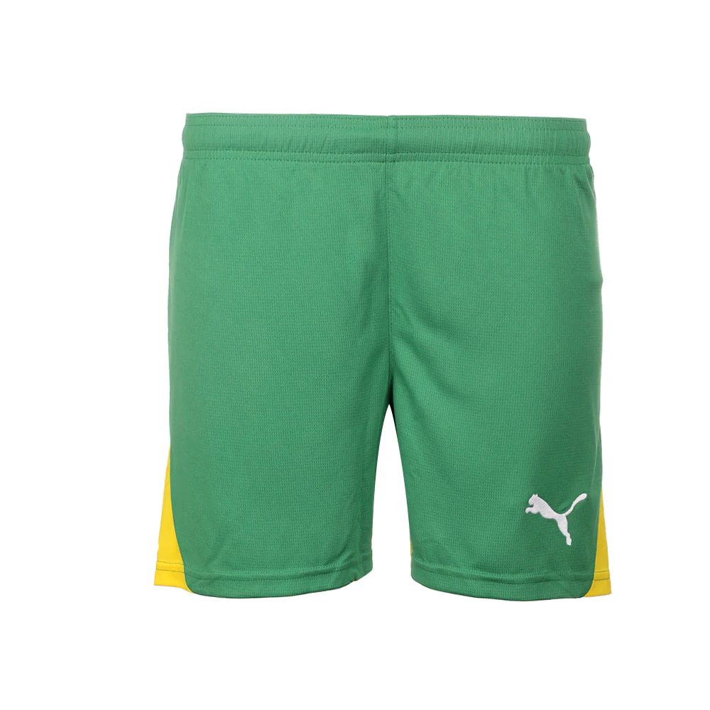 TBR Shorts (Youth)