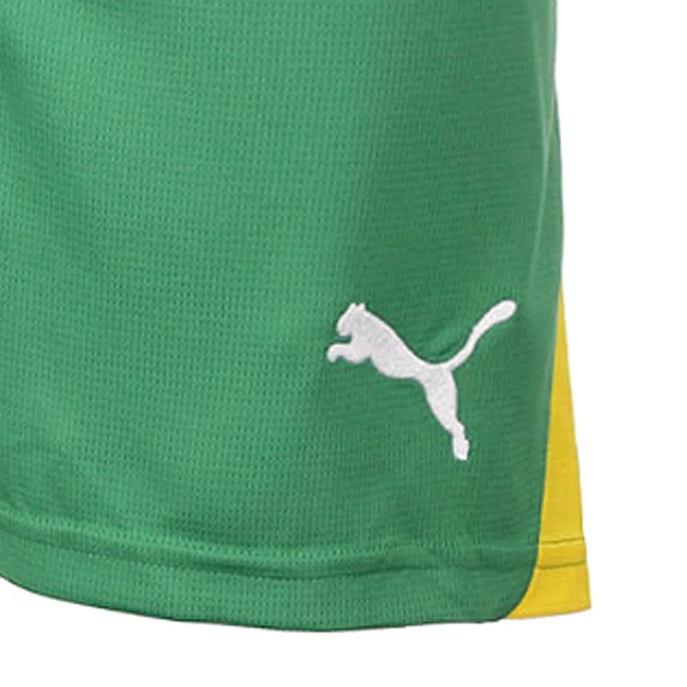 TBR Shorts (Youth) - Image 5