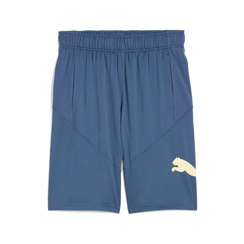 Train 10 Inch Shorts