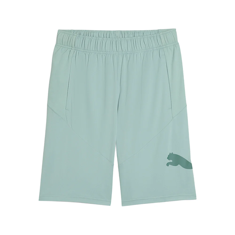 Train 10 Inch Shorts