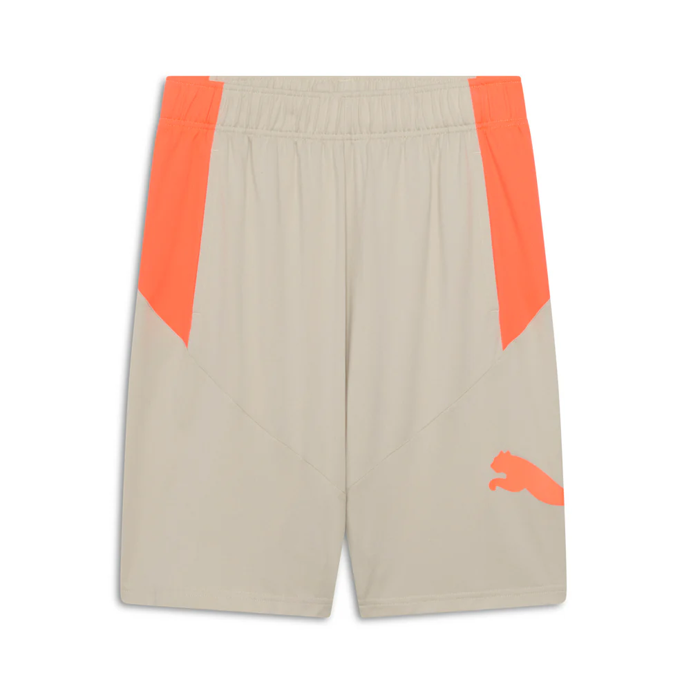 Train 10 Inch Shorts