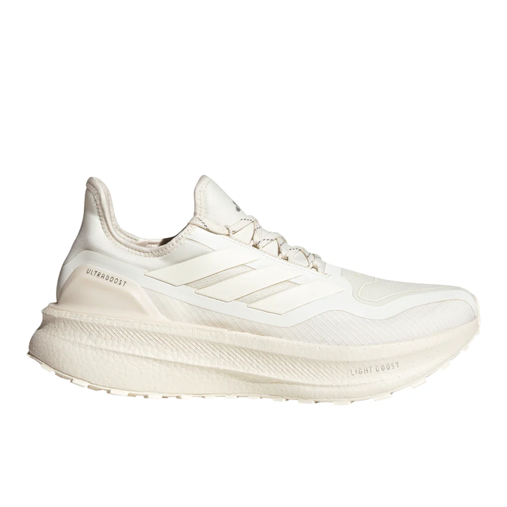 Ultraboost 5 Gore-Tex Running Shoes