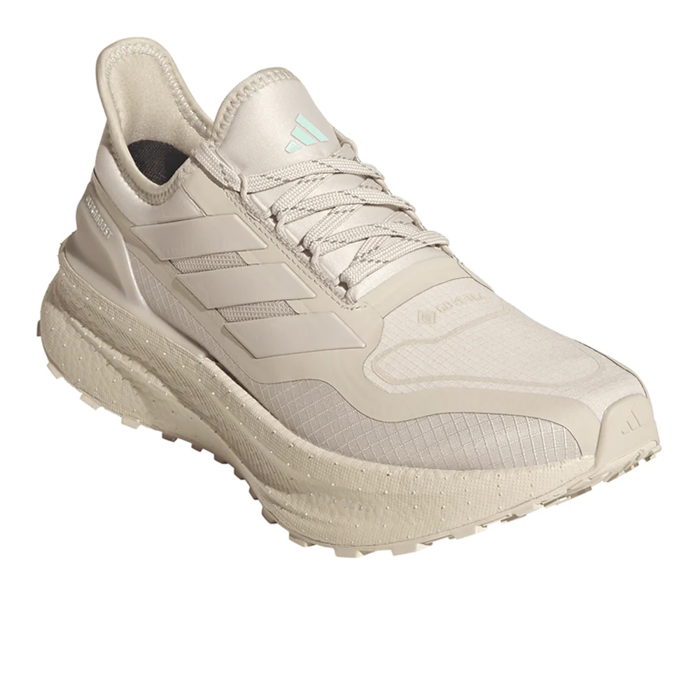 Ultraboost 5 Gore-Tex Running Shoes - Image 2