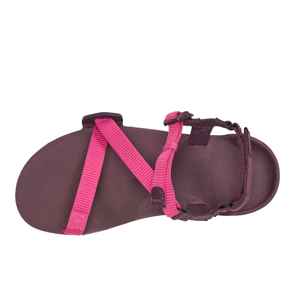 Z-Trail EV Flat Sandals - Image 3